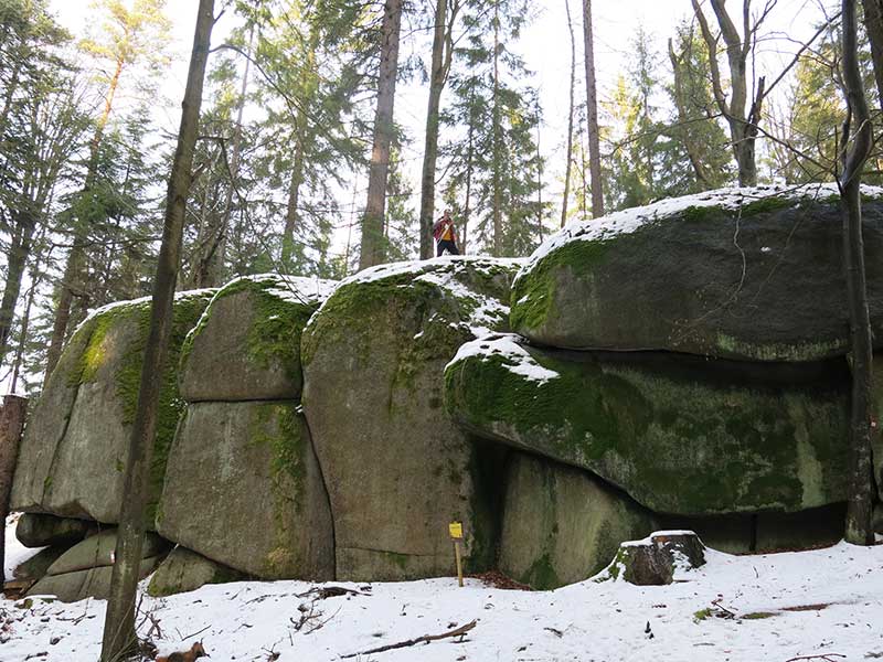 Waldviertel